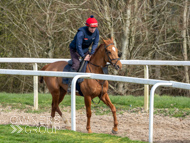 BP200326-18 - It's Hard To Know